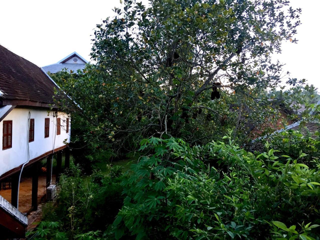 Soutikone1 Guesthouse Luang Prabang Exterior foto